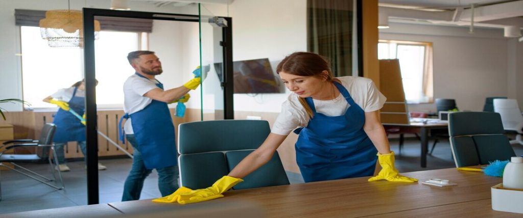 Professional Cleaning