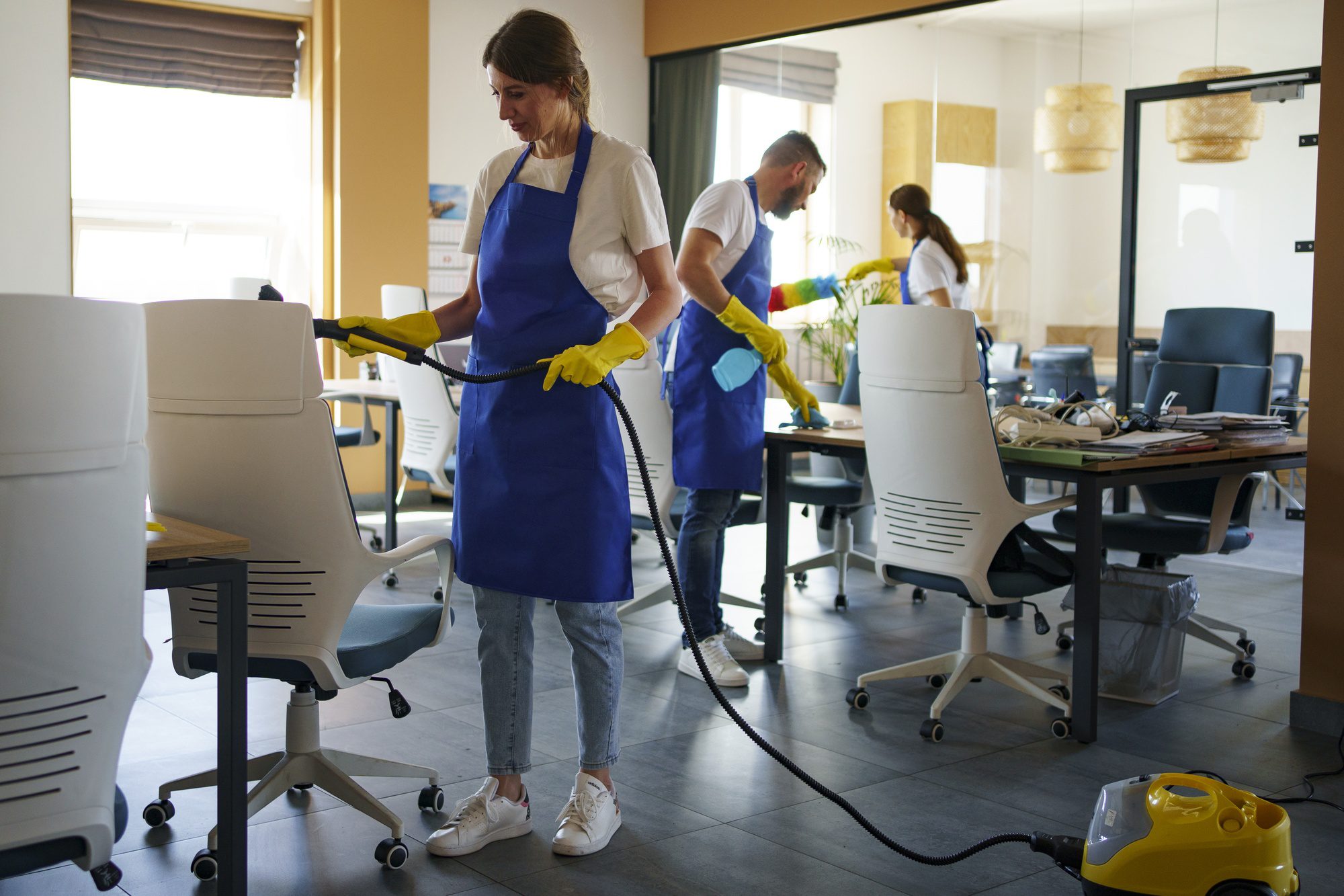 electrostatic cleaning